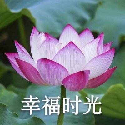 英雄无敌战争纪元破解版下载