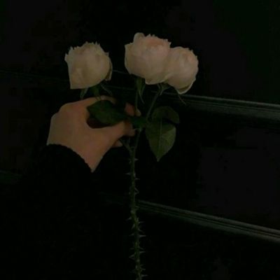 天神极内购破解版下载